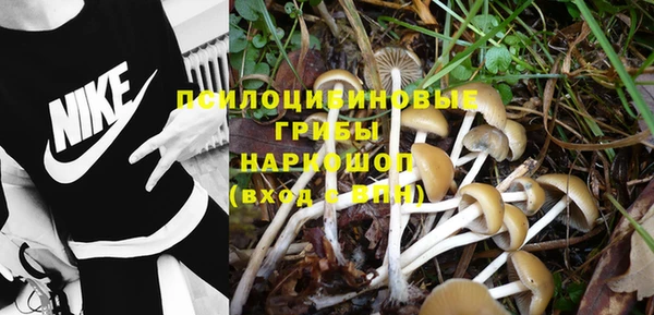 мескалин Богородск
