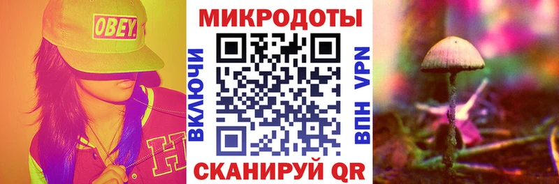 закладка  Бутурлиновка  Галлюциногенные грибы Cubensis 